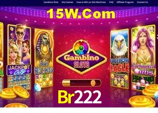 Sistemas de Segurança Br222