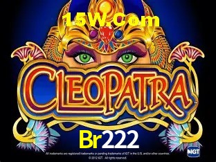 Ofertas Exclusivas Br222